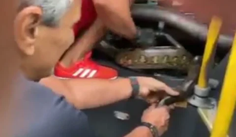 Em Manaus, cobra é resgatada em motor de ônibus – VEJA VÍDEO!