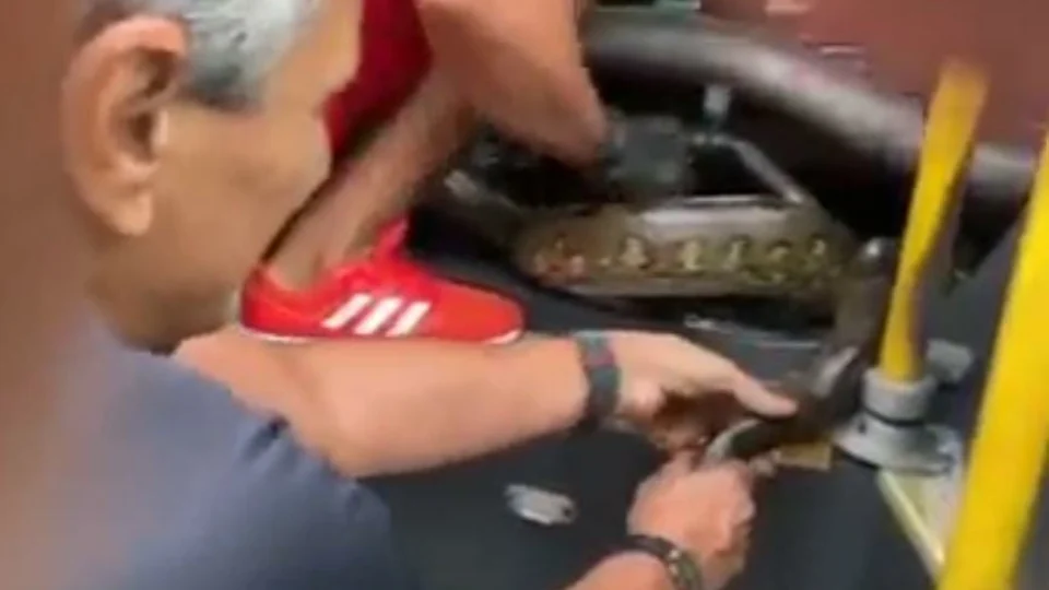 Em Manaus, cobra é resgatada em motor de ônibus – VEJA VÍDEO!