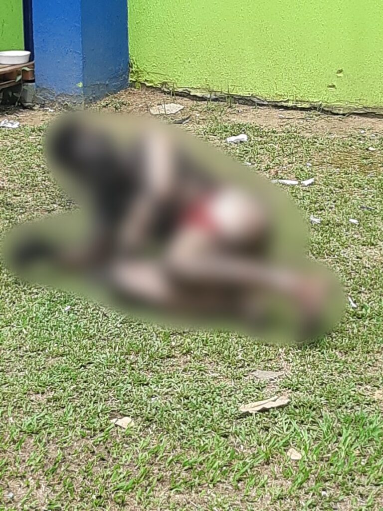 Homem é eletrocutado após tentar roubar fios de eletricidade em subestação da zona Sul.