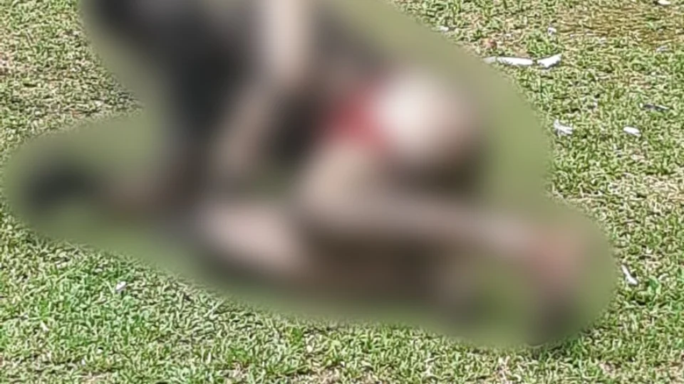 Homem é eletrocutado após tentar roubar fios de eletricidade em subestação da zona Sul