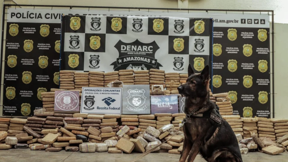 Polícia apreende 600kg de maconha avaliada em R$6 milhões dentro de barco em Manacapuru