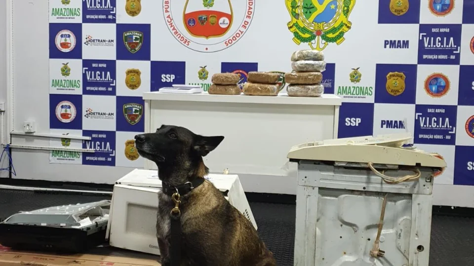 Veja vídeo;Polícia encontra 7kg de drogas escondidas em eletrodomésticos dentro de embarcação em Coari, interior do AM