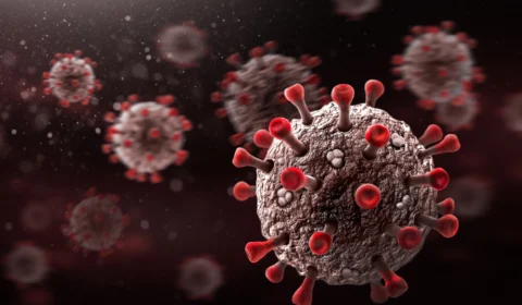 Amazonas teve mais 715 casos de Covid-19 e 34 mortes pela doença nas últimas 24h