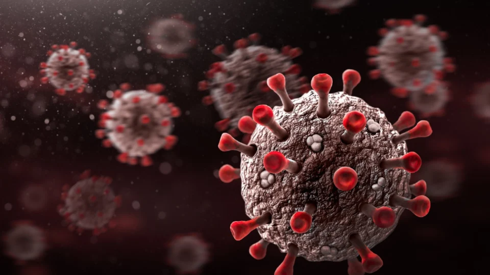 Amazonas tem 535 novos casos de Covid-19 registrados nas últimas 24h