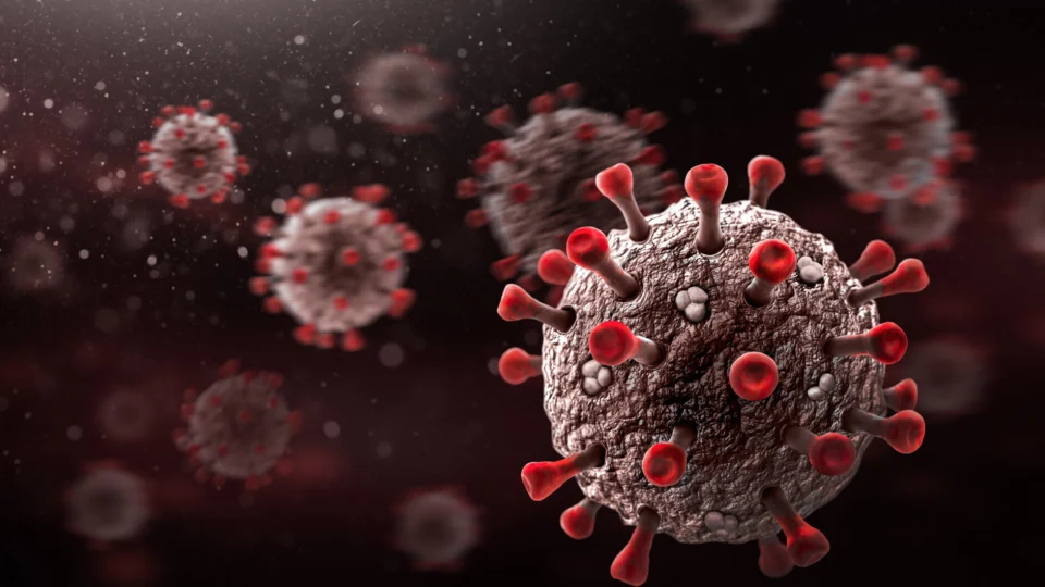 Estudo aponta que  infectados podem gerar anticorpos permanentes contra  à Covid-19