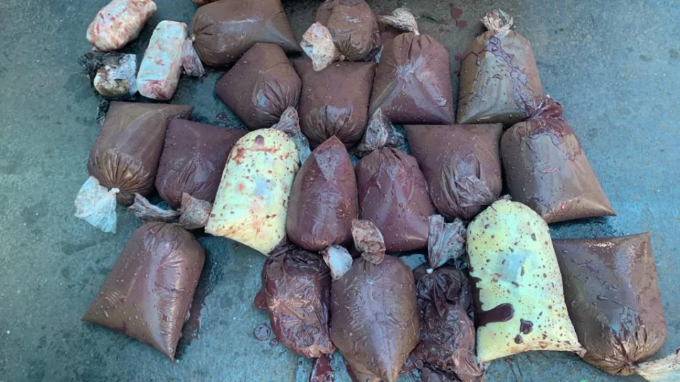 Base Arpão apreende 1,6 quilos de maconha escondida em sacos com açaí e cupuaçu