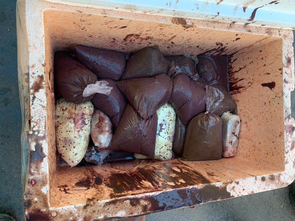 Base Arpão apreende 1,6 quilos de maconha escondida em sacos com açaí e cupuaçu.