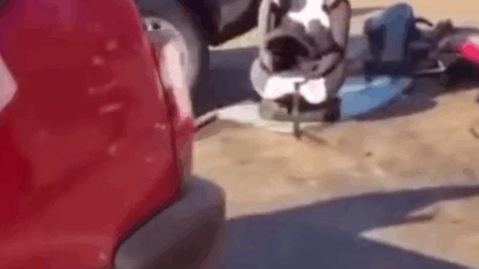 Veja vídeo;”Vamos se matar?”, diz mulher a criança antes de jogar carro contra outros veículos