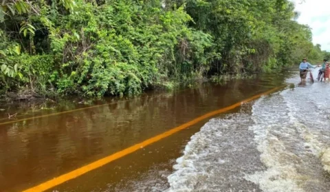 VÍDEO;Com cheia do rio Anauá, tráfego de veículos de passeio na BR-174 no sul de Roraima fica suspenso