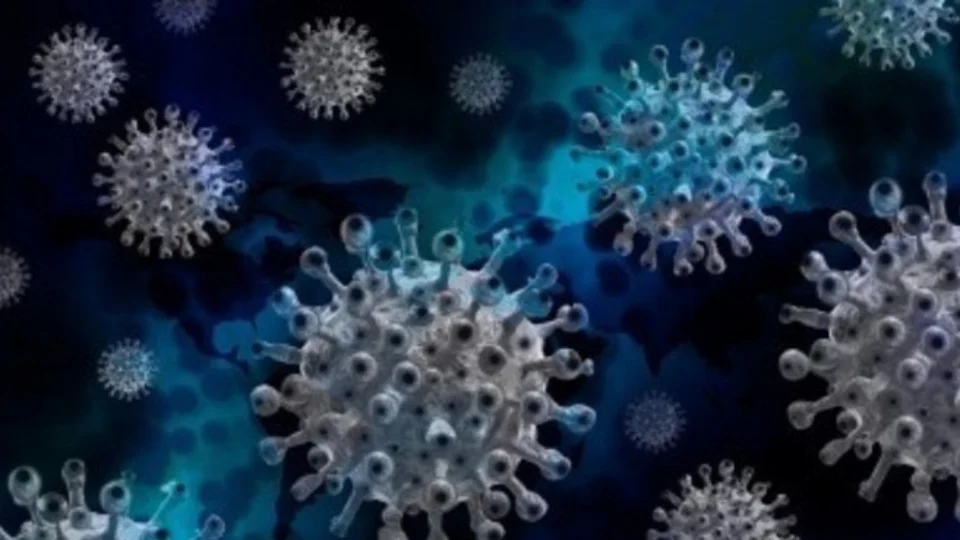 Manaus não registrou mortes por Covid-19 nas últimas 24 horas, informa FVS-AM