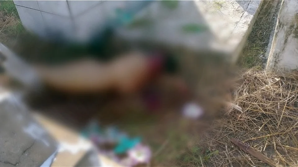 VEJA VÍDEOS – Mulher é encontrada morta com cabeça esmagada e sinais de estupro em cemitério