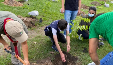 Projeto Galho Forte ultrapassa mil árvores plantadas no dia mundial do meio ambiente