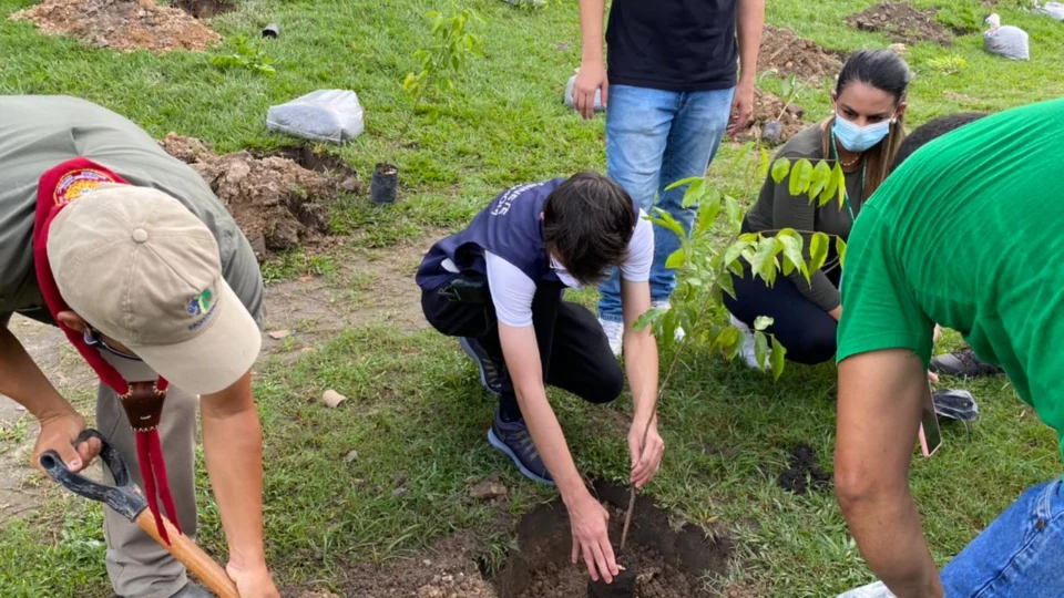 Projeto Galho Forte ultrapassa mil árvores plantadas no dia mundial do meio ambiente