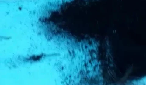 Vídeo: Monumento da “Bola das Letras” que foi revitalizado recentemente é incendiado