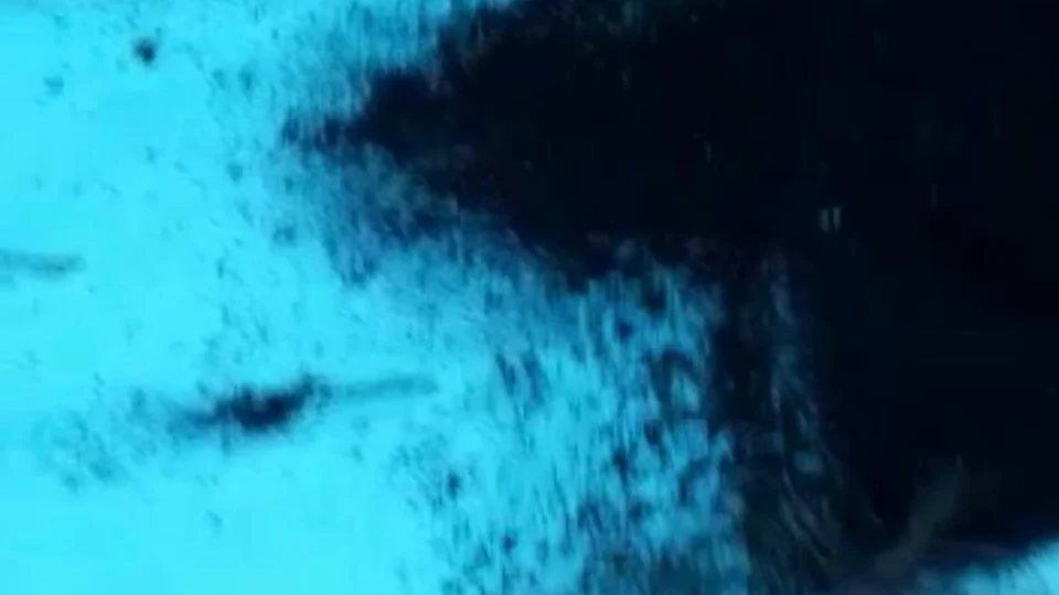 Vídeo: Monumento da “Bola das Letras” que foi revitalizado recentemente é incendiado