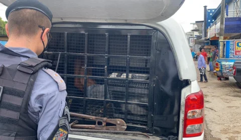 Veja vídeo: Em operação “Mão de Ferro”, 9 pessoas são presas por diversos crimes em Manaus