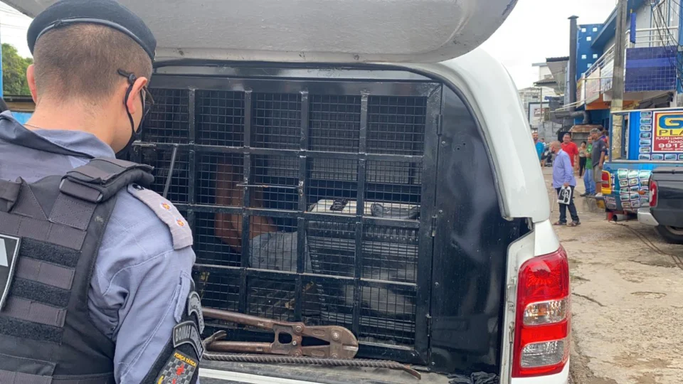 Veja vídeo: Em operação “Mão de Ferro”, 9 pessoas são presas por diversos crimes em Manaus