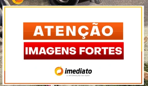 VEJA VÍDEO – Suposto assaltante é executado por justiceiros e comparsa fica agonizando no Novo Reino 2