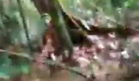 VÍDEO: Homem é encontrado em mata no AM após 9 dias desaparecido; Veja o momento do resgate