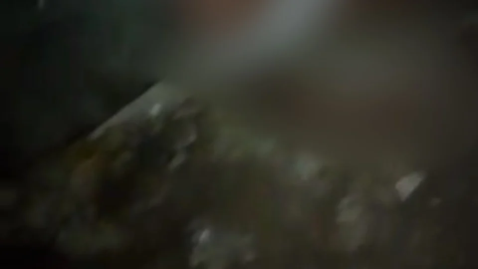 Cenas fortes; Casal é brutalmente espancado em tribunal do crime acusados de cometer ameaça e agressão