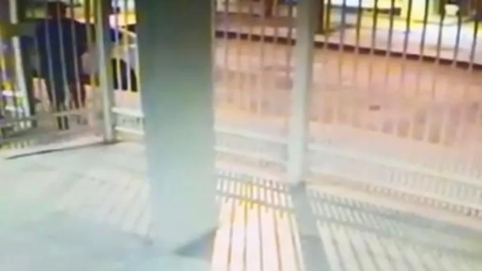 Mulher é assassinada a tiros na porta de casa pelo ex-companheiro; Veja o momento da ação