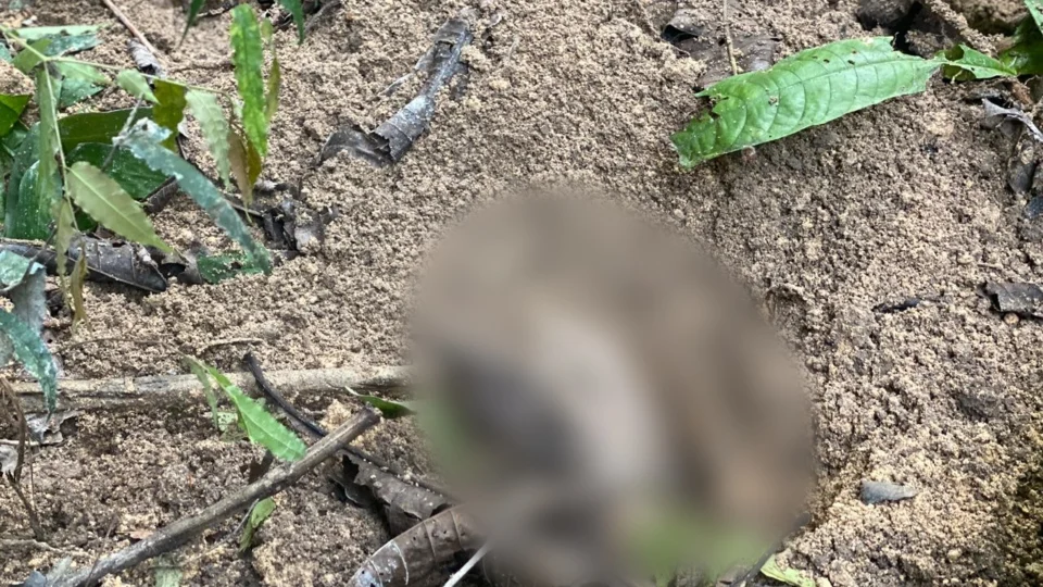 Veja vídeo;Corpo de homem é encontrado em cova rasa no Distrito Industrial 2