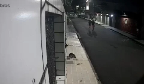 Veja vídeos do momento da ação; Padastro agride enteada menor de idade em  via pública