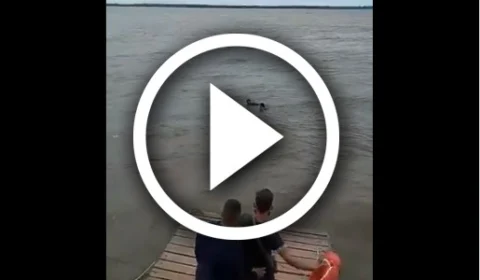 VEJA VÍDEO – Casal à deriva, após naufrágio de canoa, é resgatado com vida no Rio Amazonas