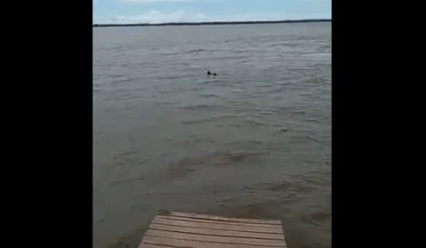 Vídeo do resgate de casal no Rio Amazonas