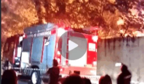 VEJA VÍDEOS – Incêndio atinge área de mata no bairro Santa Etelvina