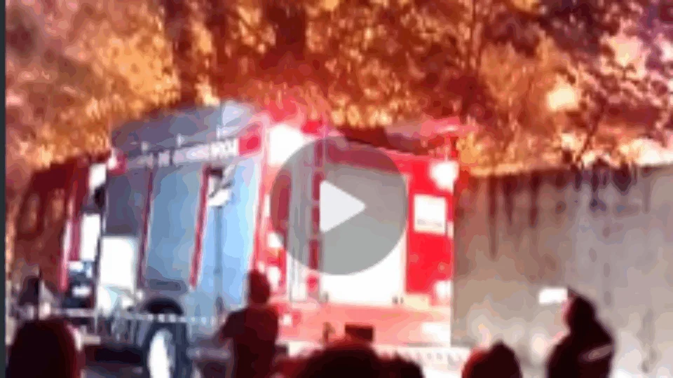 VEJA VÍDEOS – Incêndio atinge área de mata no bairro Santa Etelvina