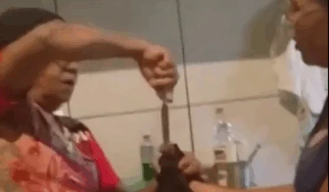 Vídeo de maus-tratos a gato – Mulheres obrigam animal a comer pimenta