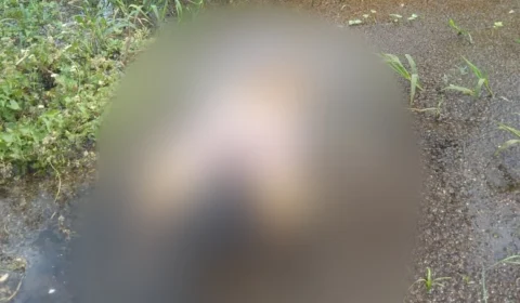 Corpo é encontrado boiando em área de mata alagadiça no Tarumã