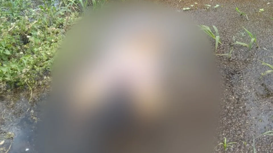 Corpo é encontrado boiando em área de mata alagadiça no Tarumã
