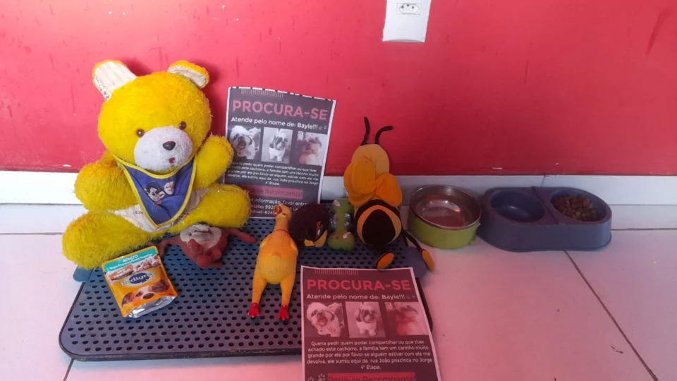 Vídeo de Shih Tzu sendo furtado