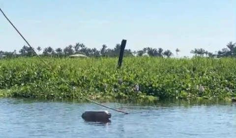 Veja vídeo de como ficou o corpo do menino de 12 anos que desapareceu no Rio Negro após tiroteio