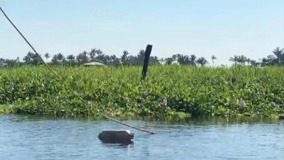 Veja vídeo de como ficou o corpo do menino de 12 anos que desapareceu no Rio Negro após tiroteio