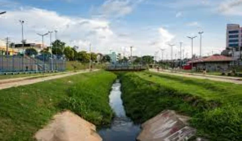 Vídeo do afogamento de jovens em igarapé na Avenida Brasil