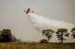 Incêndios podem ter degradado 9% do Pantanal nos últimos cinco anos