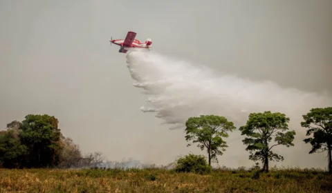 Incêndios podem ter degradado 9% do Pantanal nos últimos cinco anos