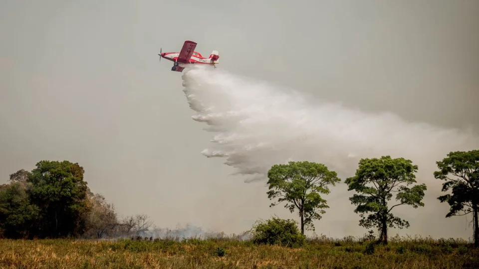 Incêndios podem ter degradado 9% do Pantanal nos últimos cinco anos