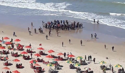 Veja vídeo: Homem é atacado por tubarão em Recife e passa por cirurgia