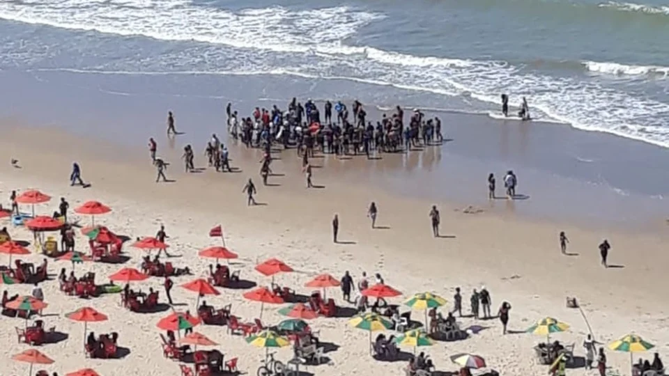 Veja vídeo: Homem é atacado por tubarão em Recife e passa por cirurgia