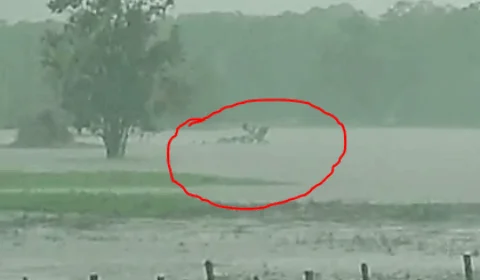 URGENTE: helicóptero do Exército cai em rio no Careiro da Várzea e já consta vítima fatal; Veja vídeo