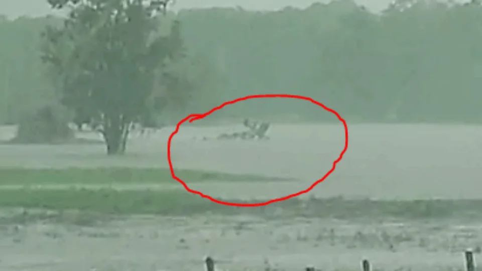 URGENTE: helicóptero do Exército cai em rio no Careiro da Várzea e já consta vítima fatal; Veja vídeo