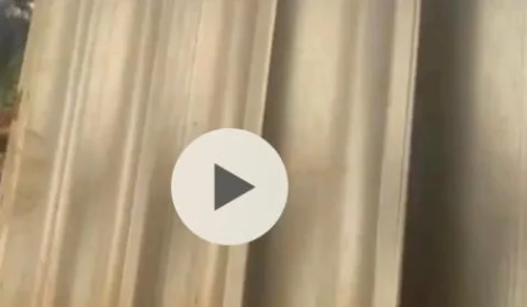 Homem é brutalmente assassinado a pedradas; Veja vídeo do momento da ação