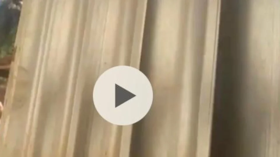 Homem é brutalmente assassinado a pedradas; Veja vídeo do momento da ação