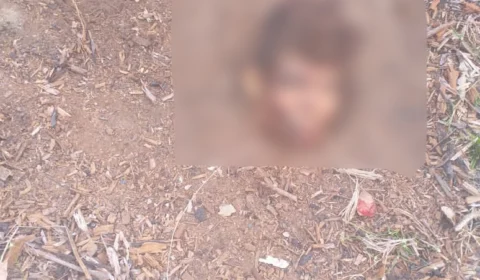 Corpo é encontrado decapitado em comunidade de Maués; Veja imagens