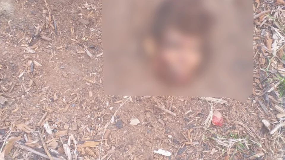 Corpo é encontrado decapitado em comunidade de Maués; Veja imagens
