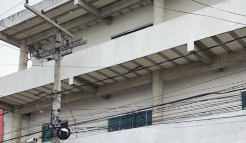 Cachorro é jogado do alto de prédio no Nova Esperança e população se revolta; Veja vídeos